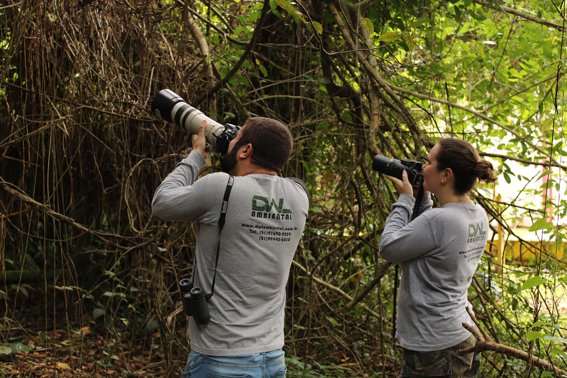 Dwl Ambiental